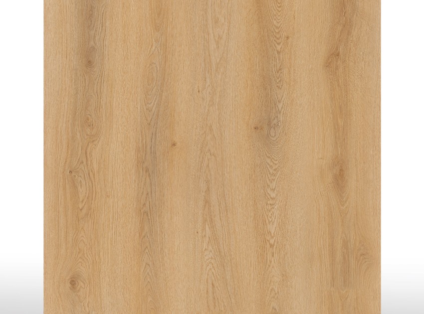 SPC Acoustic | Forest Oak - Micro bisel - 9,5 mm